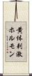 黄体刺激ホルモン Scroll