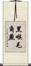 黑喉毛角燕 Scroll