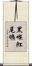 黑喉紅尾鴝 Scroll