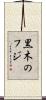 黒木のフジ Scroll
