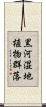 黒河湿地植物群落 Scroll