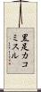 黒足カコミスル Scroll