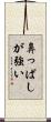 鼻っぱしが強い Scroll