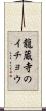 龍蔵寺のイチョウ Scroll