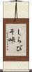 しらびそ峠 Scroll
