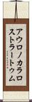 アウロノカラロストラートゥム Scroll