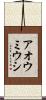 アオウミウシ Scroll