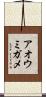 アオウミガメ Scroll