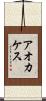 アオカケス Scroll