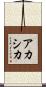 アカシカ Scroll