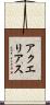 アクエリアス Scroll