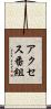 アクセス番組 Scroll