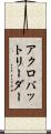 アクロバットリーダー Scroll
