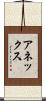 アネックス Scroll