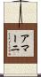 Amarni Scroll