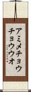 アミメチョウチョウウオ Scroll