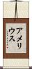 Amelius Scroll