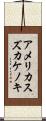 アメリカスズカケノキ Scroll