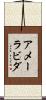 Ameerabida Scroll