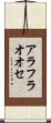 アラフラオオセ Scroll