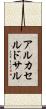 アルカセルドサル Scroll