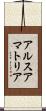 アルスアマトリア Scroll