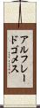 Alfredo Gomez Scroll