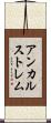 アンカルストレム Scroll