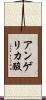 アンゲリカ酸 Scroll
