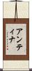 Antina Scroll