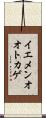 イエメンオオトカゲ Scroll