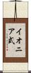 イオニア式 Scroll