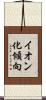 イオン化傾向 Scroll