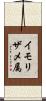 イモリザメ属 Scroll