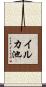 イルカ池 Scroll
