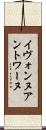 Yvonne Antoine Scroll