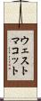 ウェストマコット Scroll