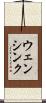 ウェンシンク Scroll