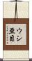 ウシ亜目 Scroll