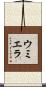 ウミエラ Scroll