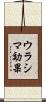 ウラシマ効果 Scroll