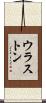 ウラストン Scroll