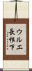 ウルエ長根下 Scroll