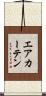 エアカーテン Scroll
