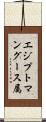 エジプトマングース属 Scroll
