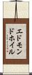 エドモンドホイル Scroll