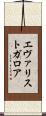 エヴァリストガロア Scroll
