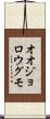 オオジョロウグモ Scroll