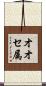 オオセ属 Scroll