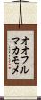 オオフルマカモメ Scroll